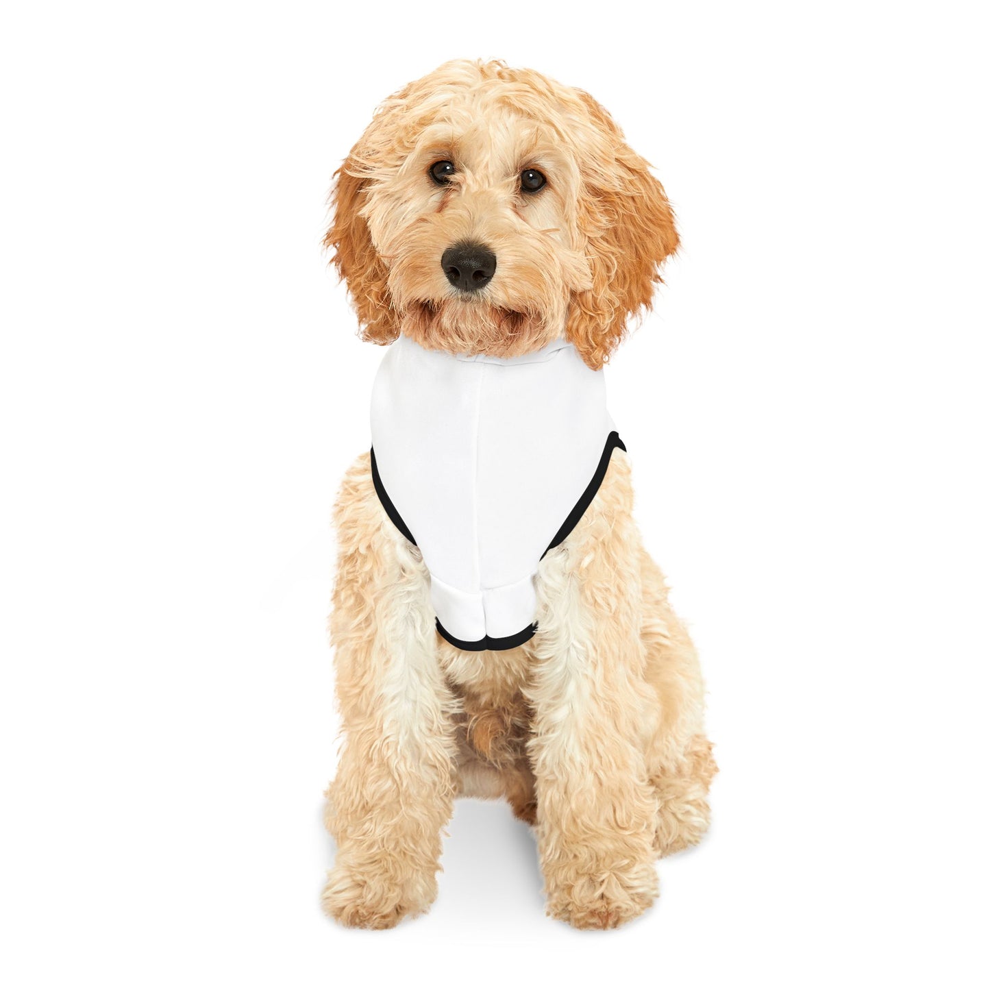 SchmoogInc pet hoodie